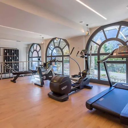 Apartment Modern 2br 5* Pool Gym Garage Mont-blanc View